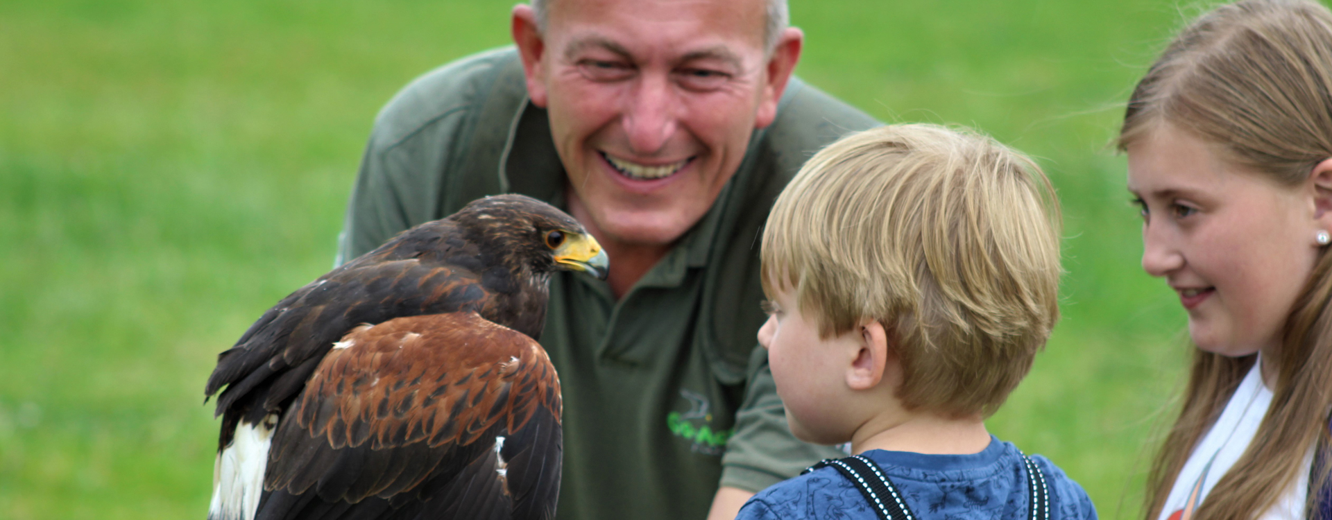 Go Active Falconry – White Post Farm