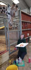 Farmer Katie caring for Giraffes whilst on exchange to Folly Farm in Wales. 