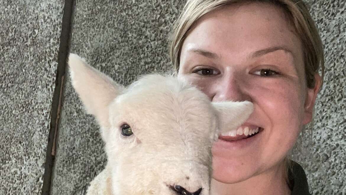 Farmer Freya: My Lambing Journey