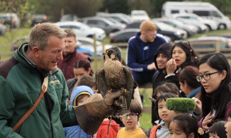 A Day in the Life of Falconer Simon