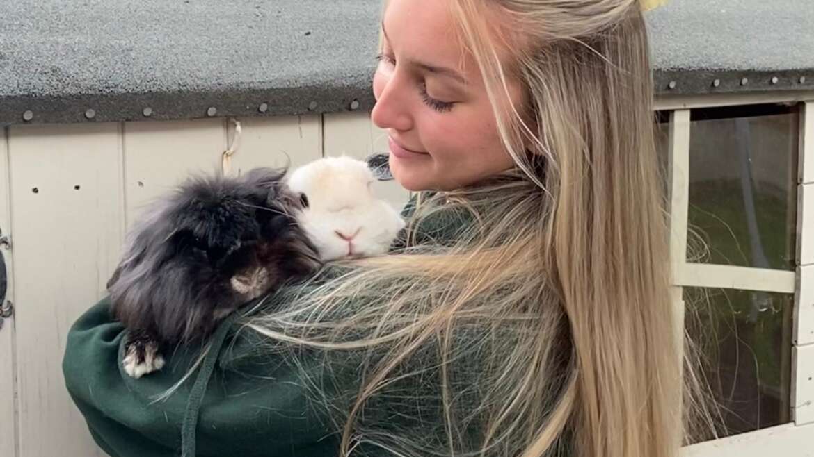 Farmer Ellie’s Guide to Rabbit Enrichment