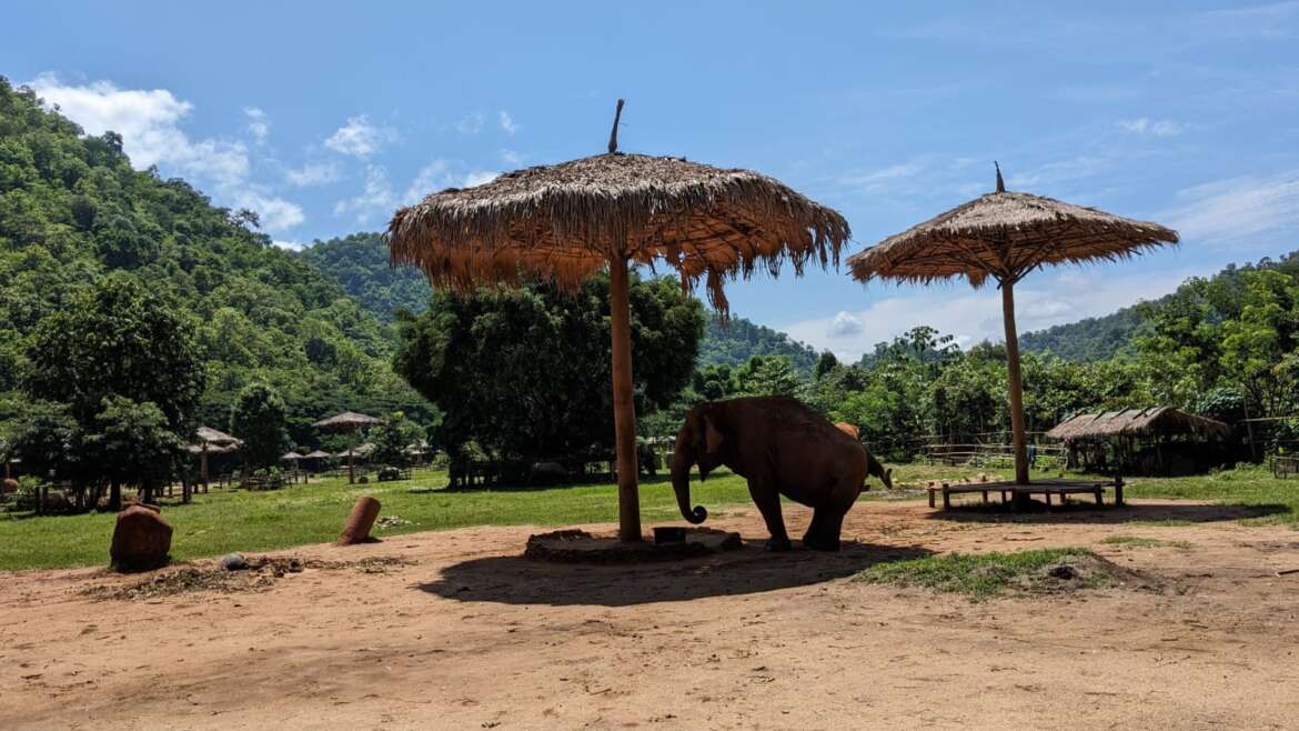 Farmer Adam’s Trip to Thailand!