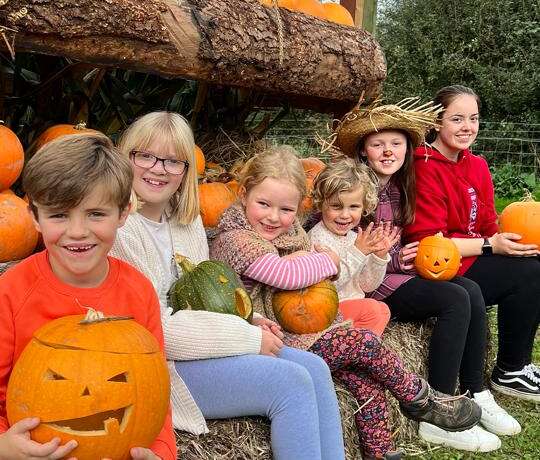 A Sneak Preview of our Scarecrow & Pumpkin Festival!