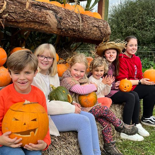 A Sneak Preview of our Scarecrow & Pumpkin Festival!