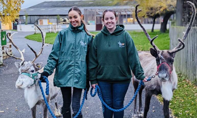 A Guided Tour Full of Festive Treats!