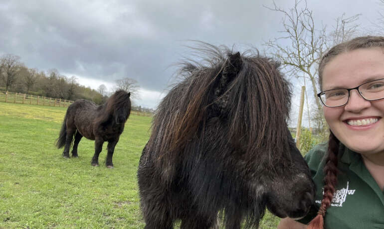 Farmer Jim’s Pony Care Manual!