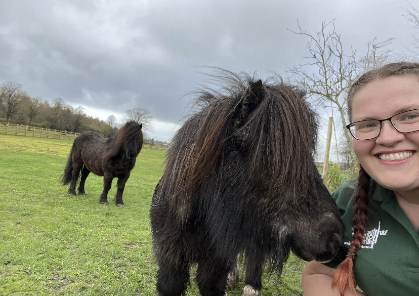 Farmer Jim’s Pony Care Manual!