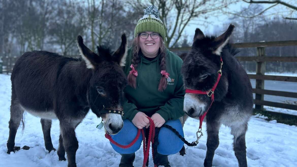 Meet the Miniature Donkey’s!