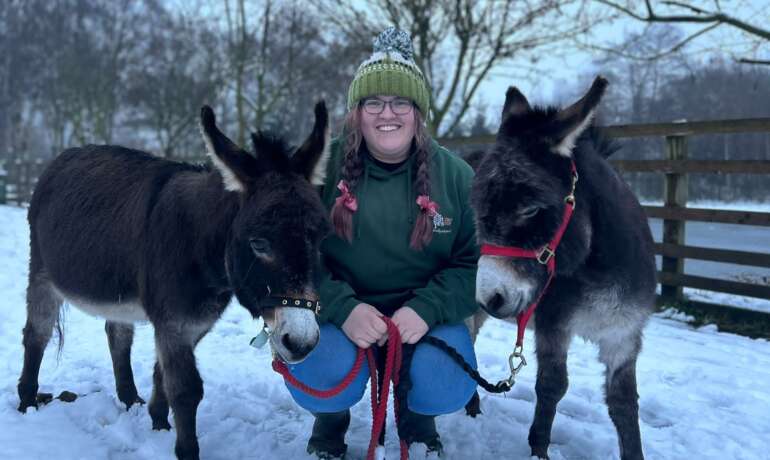 Meet the Miniature Donkey’s!