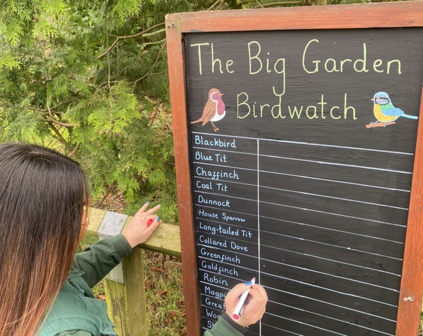 The Big Garden Birdwatch!