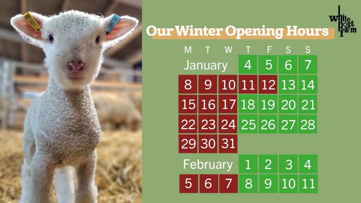 Winter Opening Times