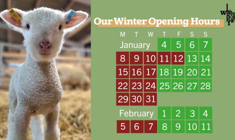 Winter Opening Times