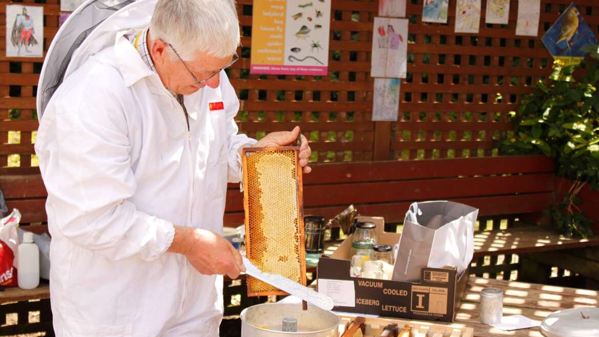 All about Beekeeping with David Bell!