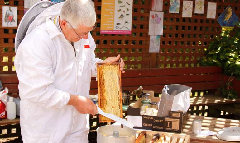 All about Beekeeping with David Bell!