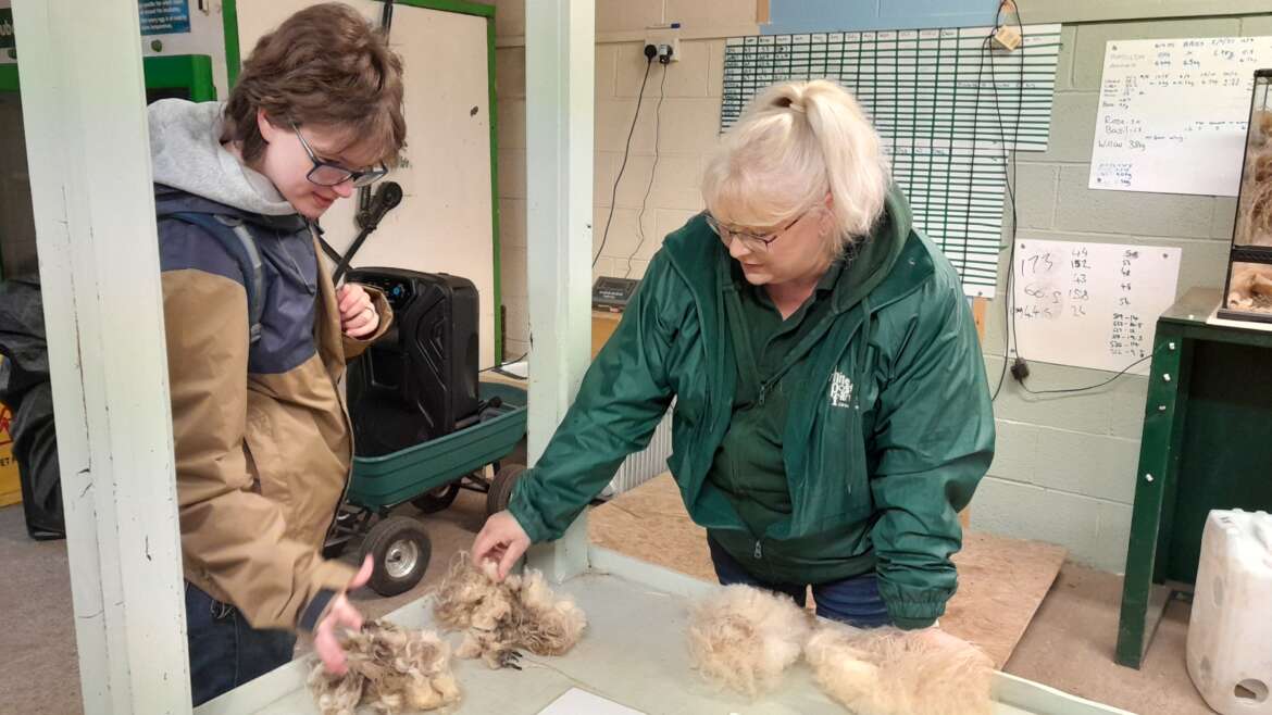 Our Home Educator Day at the farm