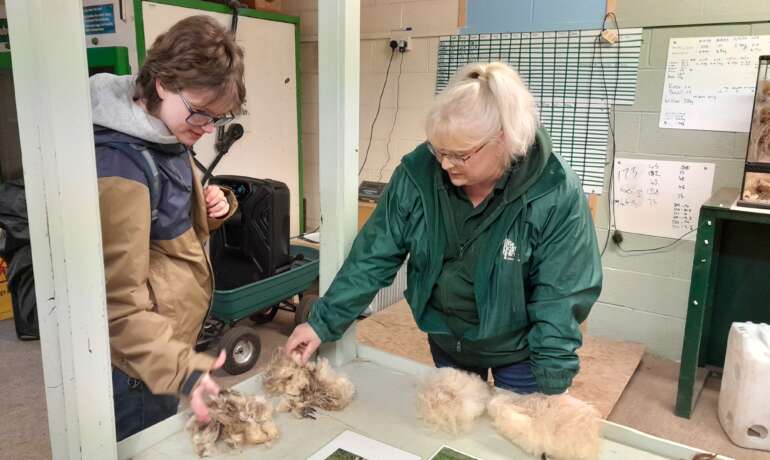 Our Home Educator Day at the farm