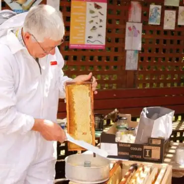 All about Beekeeping with David Bell!