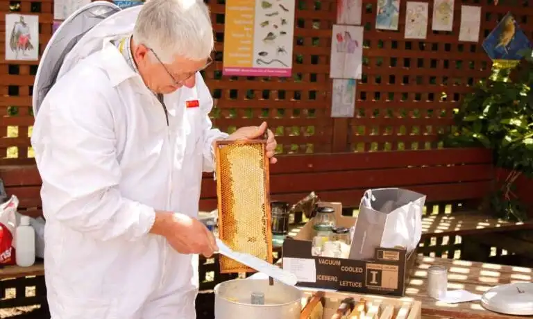 All about Beekeeping with David Bell!