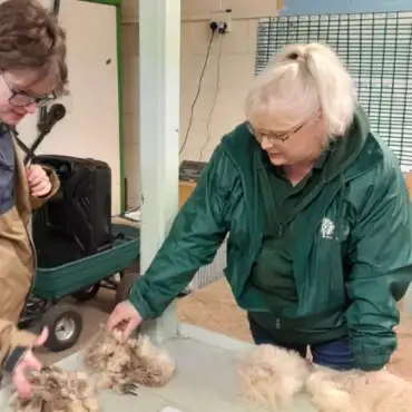 Our Home Educator Day at the farm