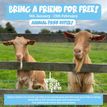 Bring a friend for free – Annual Pass offer!