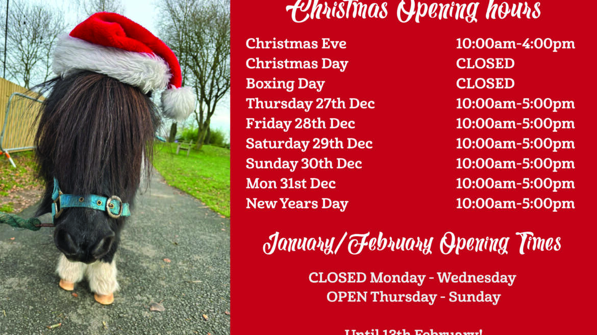 Winter Opening Times – Jan/Feb 2025