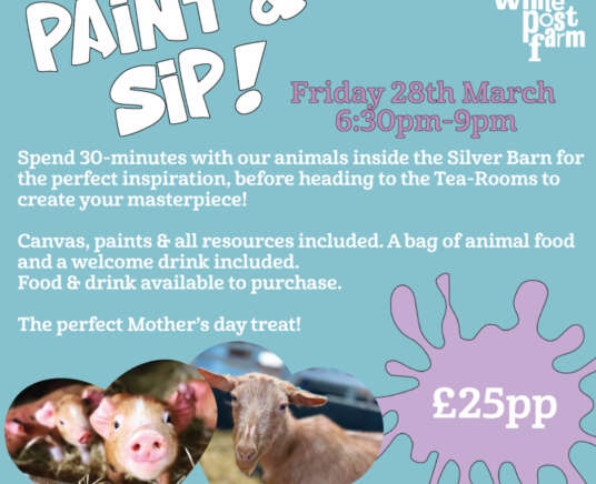 Paint & Sip! (18+)