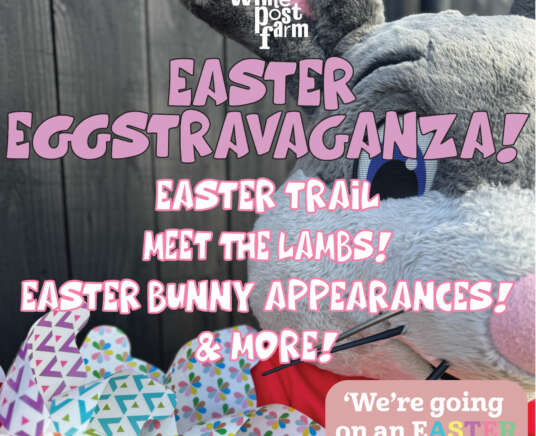 Easter EGGstravaganza!