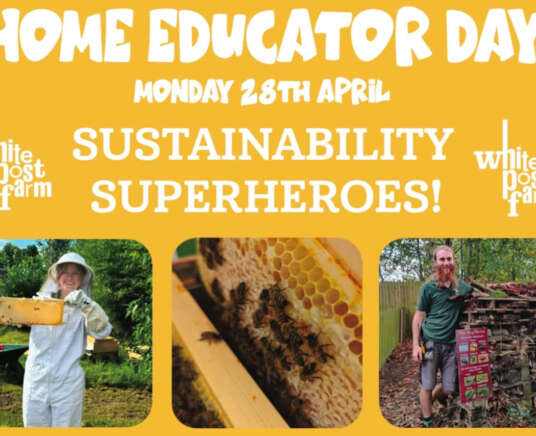 Home Educator Day: Sustainability Superheroes